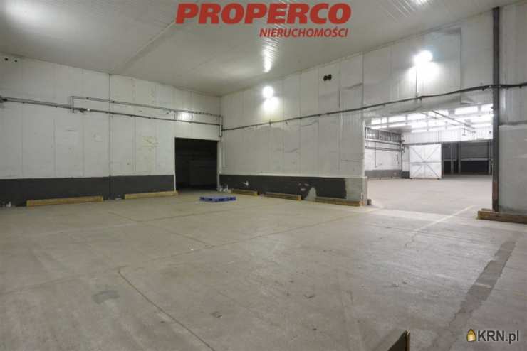 PROPERCO Sp. z o.o. Sp. k. , Lokal użytkowy  do wynajęcia, Kielce, ul. 