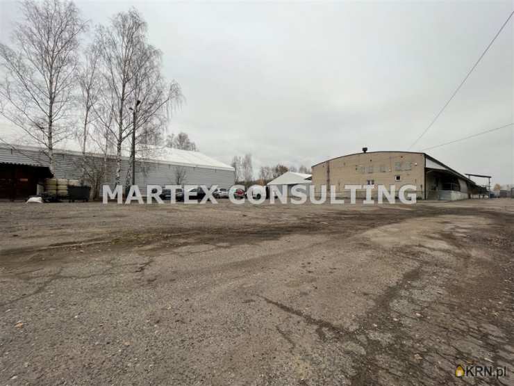 Wodzisław Śląski, ul. , Lokal użytkowy  do wynajęcia, 