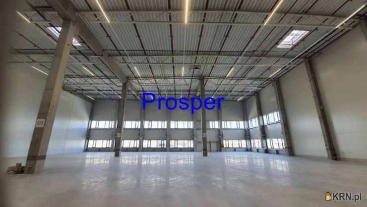 Lokal użytkowy  do wynajęcia, Zabrze, ul. , 