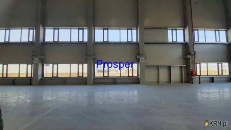 Lokal użytkowy  do wynajęcia, , Zabrze, ul. 