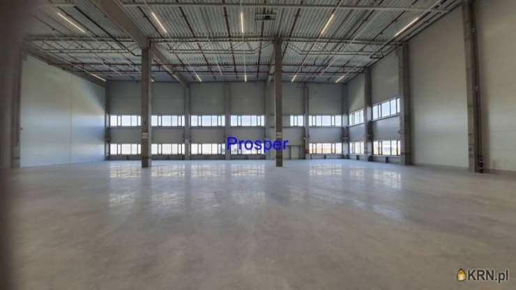 Prosper - Nieruchomości, Lokal użytkowy  do wynajęcia, Zabrze, ul. 