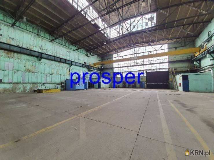 Lokal użytkowy  do wynajęcia, Sosnowiec, ul. , 