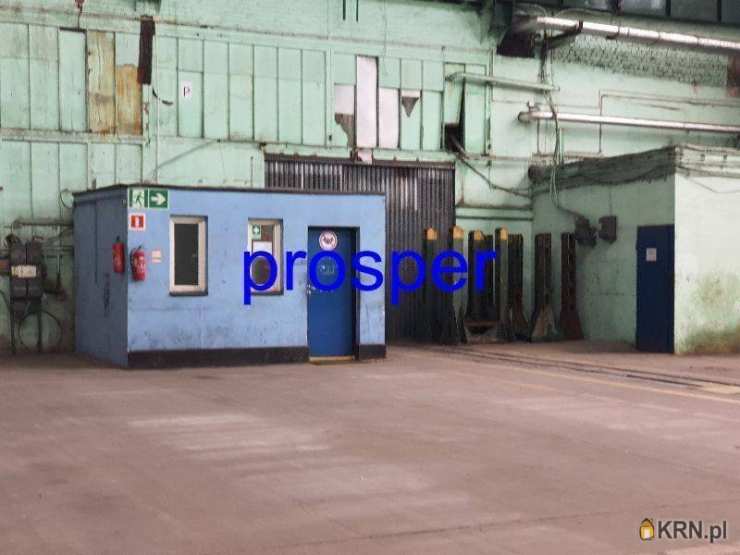 Lokal użytkowy  do wynajęcia, , Sosnowiec, ul. 