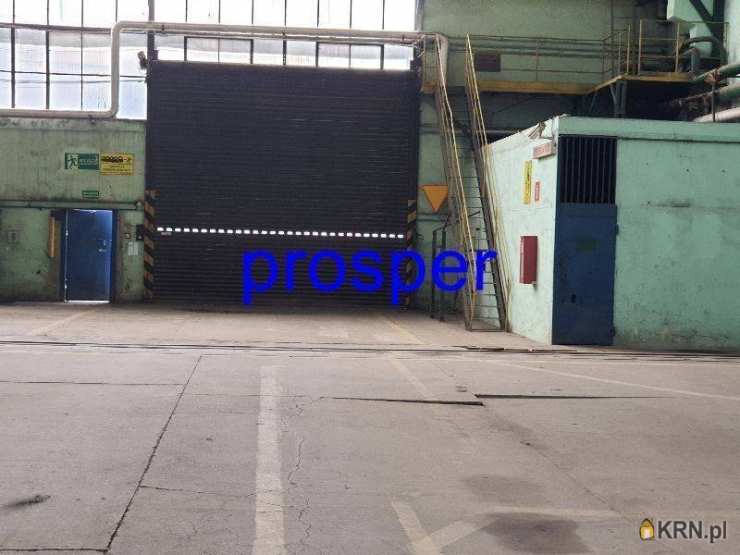 Sosnowiec, ul. , Lokal użytkowy  do wynajęcia, 