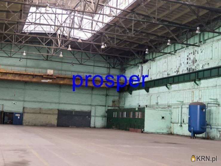 Sosnowiec, ul. , , Lokal użytkowy  do wynajęcia