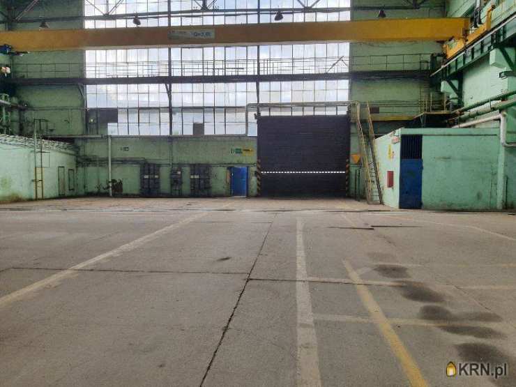 , Sosnowiec, ul. , Lokal użytkowy  do wynajęcia