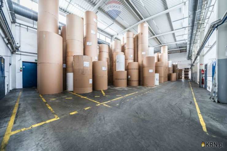 Lokal użytkowy  do wynajęcia, , Tarnowo Podgórne, ul. 