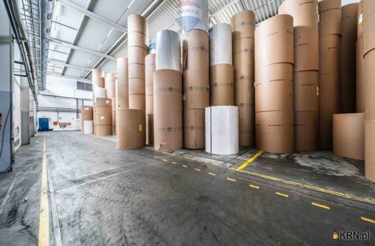 Tarnowo Podgórne, ul. , Lokal użytkowy  do wynajęcia, 