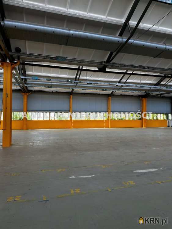 Błonie, ul. , Lokal użytkowy  na sprzedaż, 