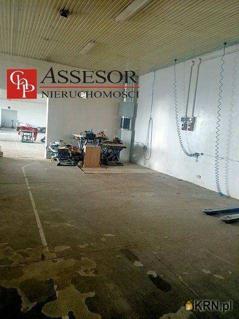 Lokal użytkowy  do wynajęcia, , Gołuchów, ul. 