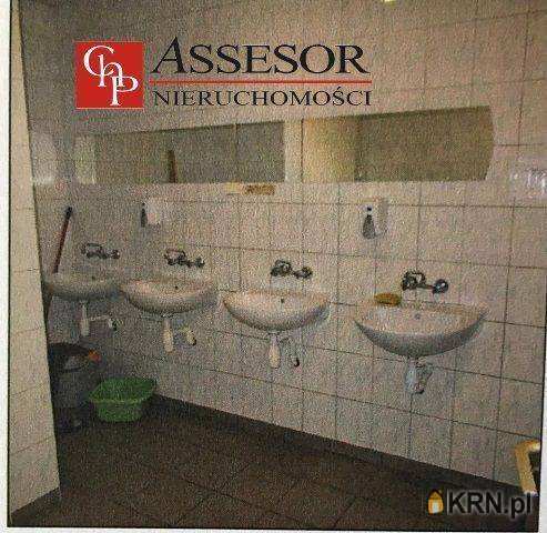 , Lokal użytkowy  do wynajęcia, Gołuchów, ul. 