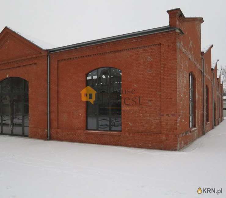 Legnica, ul. , , Lokal użytkowy  do wynajęcia