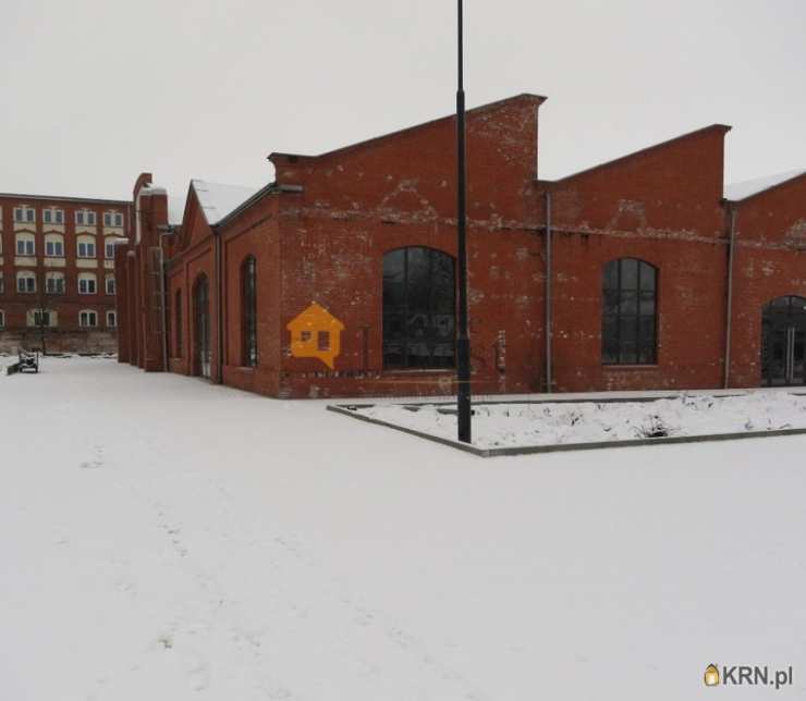 , Lokal użytkowy  do wynajęcia, Legnica, ul. 