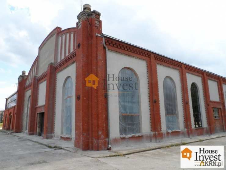 Lokal użytkowy  do wynajęcia, , Legnica, ul. 