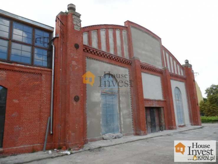 Legnica, ul. , Lokal użytkowy  do wynajęcia, 