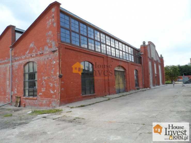 Legnica, ul. , , Lokal użytkowy  do wynajęcia