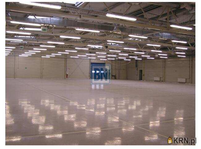 Lokal użytkowy  do wynajęcia, Gliwice, ul. , 