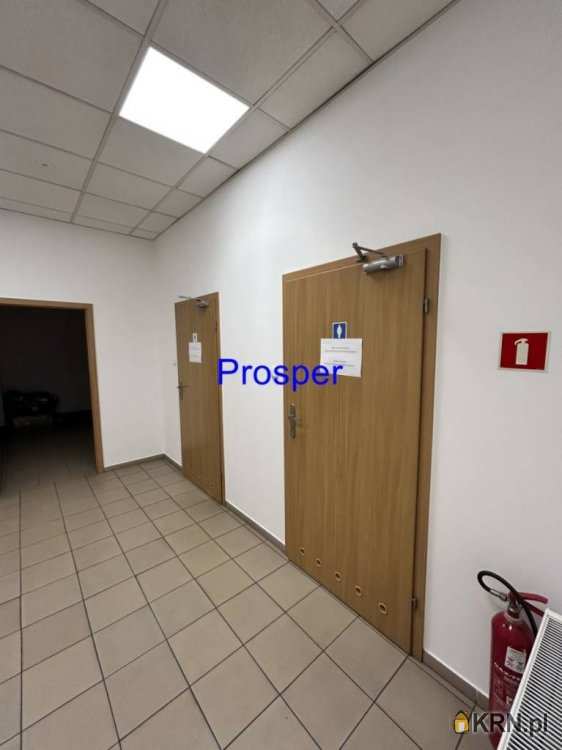 Chorzów, ul. , Lokal użytkowy  do wynajęcia, 