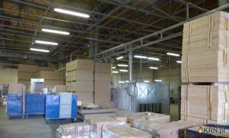 Lokal użytkowy  do wynajęcia, Zielona Góra, ul. , 