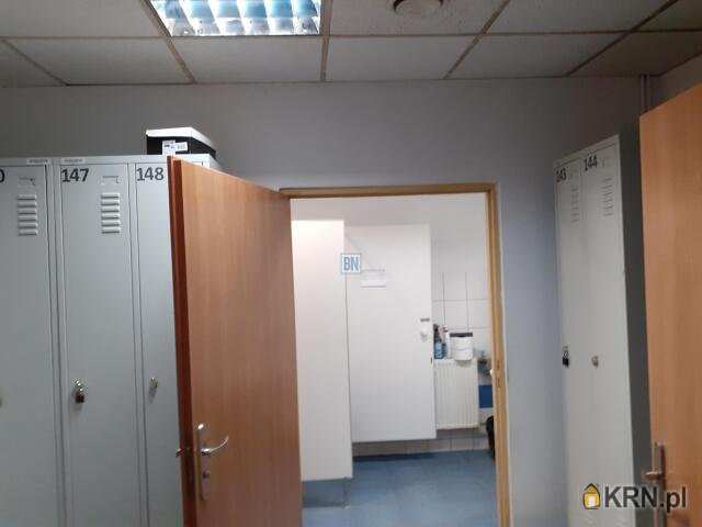 Zabrze, ul. , Lokal użytkowy  do wynajęcia, 10 pokojowe