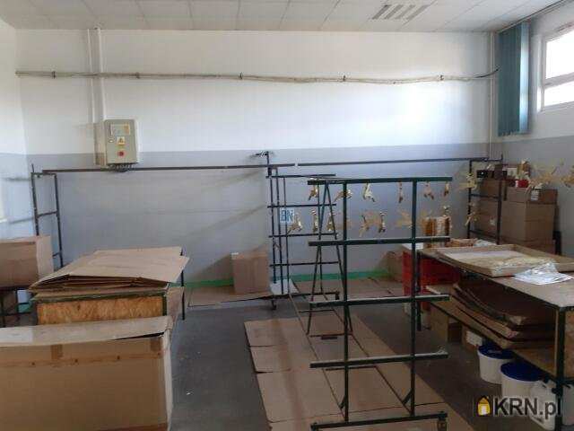 Zabrze, ul. , 10 pokojowe, Lokal użytkowy  do wynajęcia