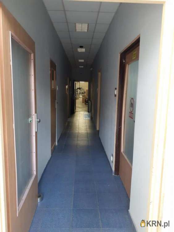 10 pokojowe, Zabrze, ul. , Lokal użytkowy  do wynajęcia