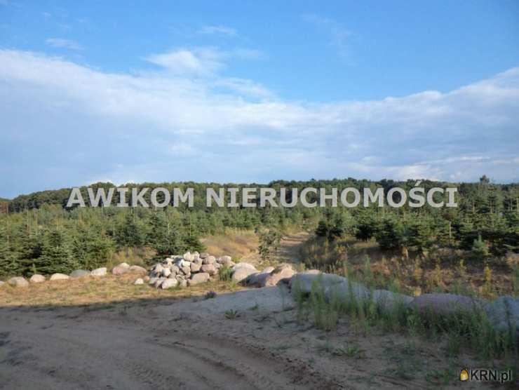 Lokal użytkowy  na sprzedaż, Grzegorzewice, ul. , 