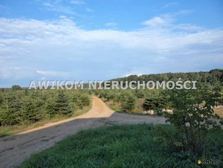 Grzegorzewice, ul. , Lokal użytkowy  na sprzedaż, 