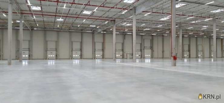 Lokal użytkowy  do wynajęcia, , Czeladź, ul. 