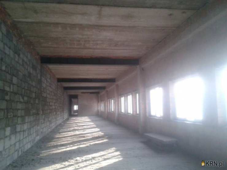 Lokal użytkowy  do wynajęcia, , Katowice, ul. 