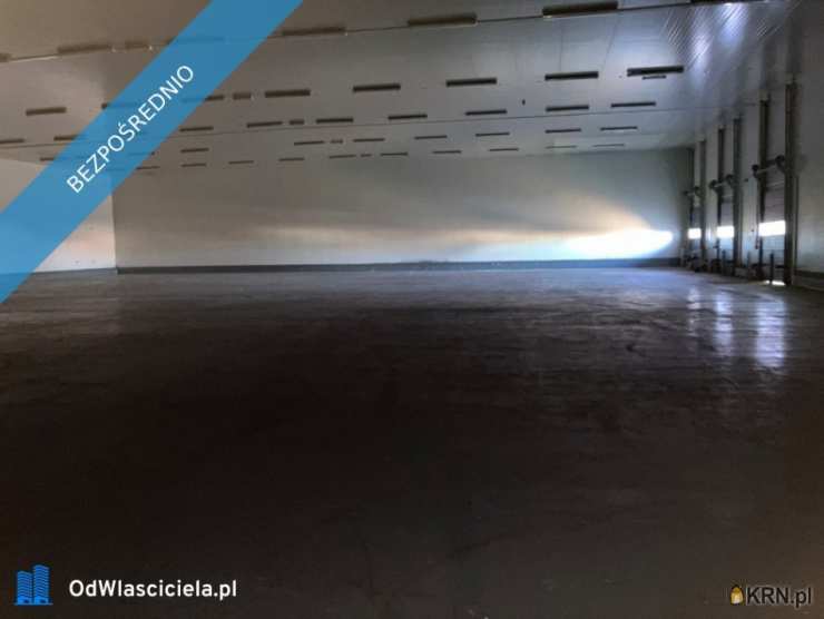 6 pokojowe, Lokal użytkowy  do wynajęcia, Szczecinek, ul. Pilska