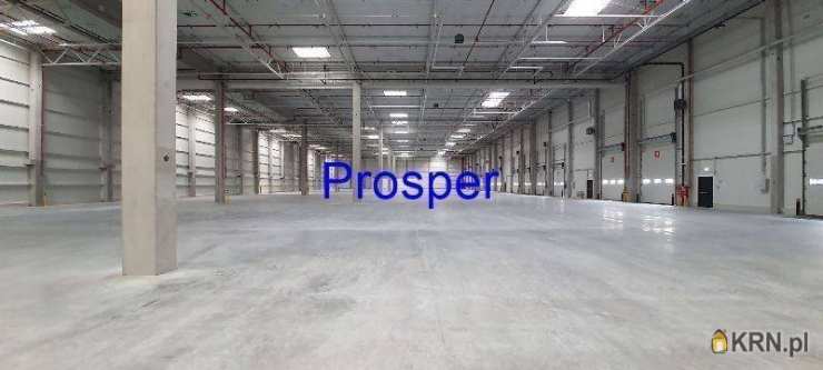 Lokal użytkowy  do wynajęcia, , Zabrze, ul. 