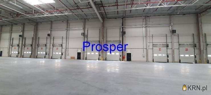 Zabrze, ul. , Lokal użytkowy  do wynajęcia, 