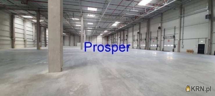 , Zabrze, ul. , Lokal użytkowy  do wynajęcia