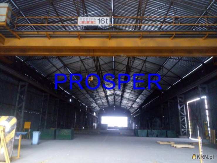 Lokal użytkowy  do wynajęcia, Sosnowiec, ul. , 