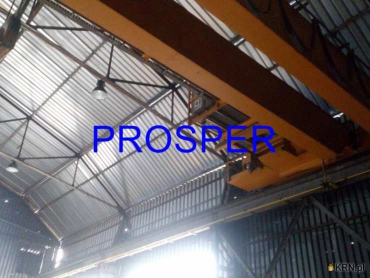 , Sosnowiec, ul. , Lokal użytkowy  do wynajęcia