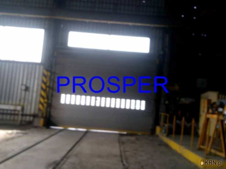 , Lokal użytkowy  do wynajęcia, Sosnowiec, ul. 