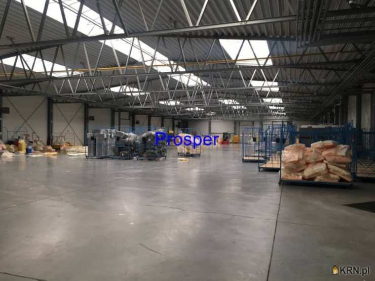 Lokal użytkowy  do wynajęcia, , Chrzanów, ul. 