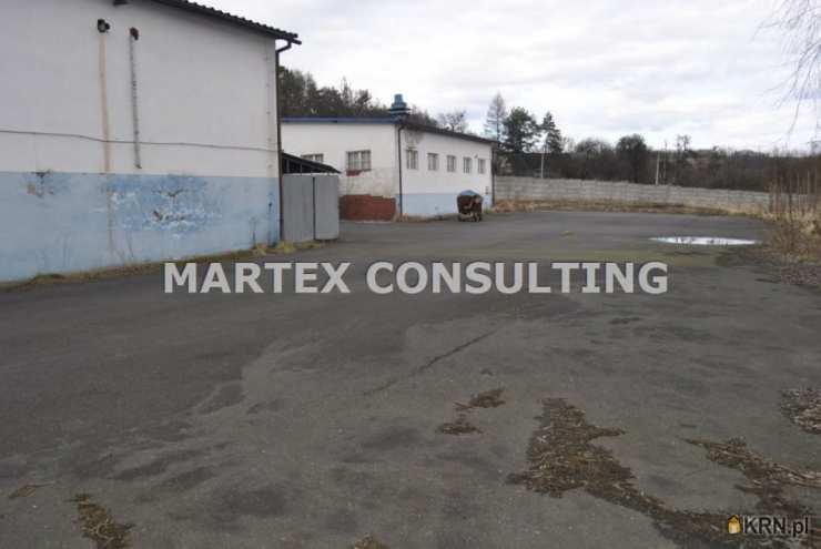 Martex Consulting Nieruchomości, Lokal użytkowy  na sprzedaż, Wodzisław Śląski, ul. 