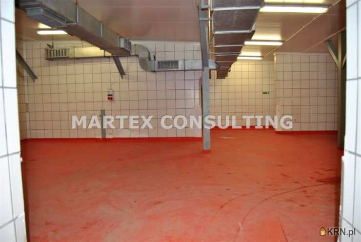 Lokal użytkowy  na sprzedaż, Wodzisław Śląski, ul. , 