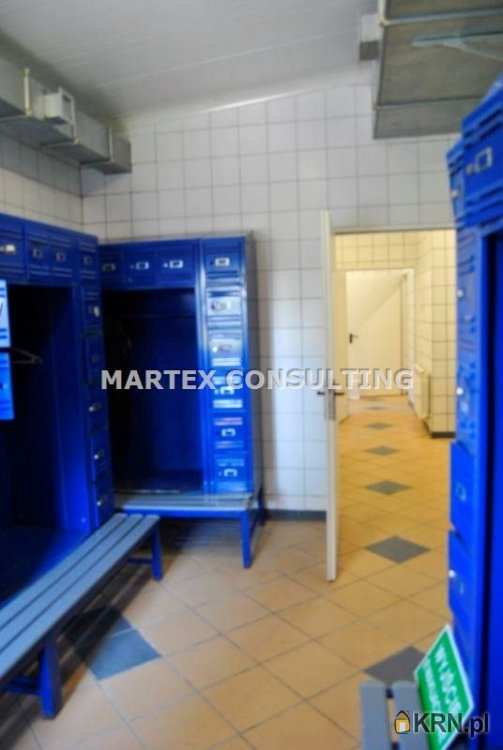 Lokal użytkowy  na sprzedaż, Wodzisław Śląski, ul. , 