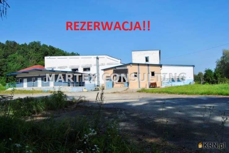 Wodzisław Śląski, ul. , , Lokal użytkowy  na sprzedaż