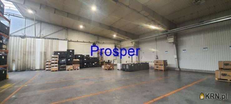 Lokal użytkowy  do wynajęcia, Czechowice-Dziedzice, ul. , 