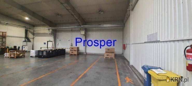 Lokal użytkowy  do wynajęcia, , Czechowice-Dziedzice, ul. 