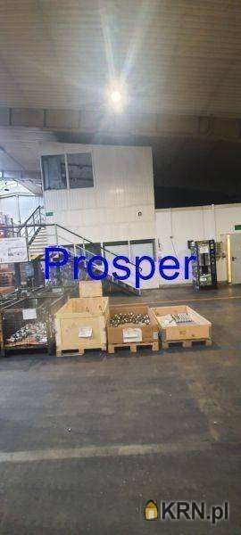 Czechowice-Dziedzice, ul. , Lokal użytkowy  do wynajęcia, 