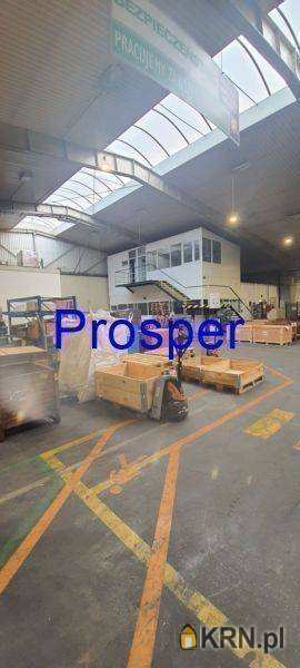 Czechowice-Dziedzice, ul. , , Lokal użytkowy  do wynajęcia