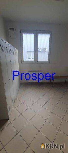 , Czechowice-Dziedzice, ul. , Lokal użytkowy  do wynajęcia