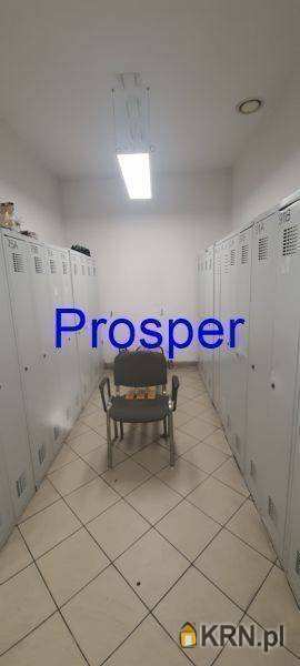 Czechowice-Dziedzice, ul. , Lokal użytkowy  do wynajęcia, 