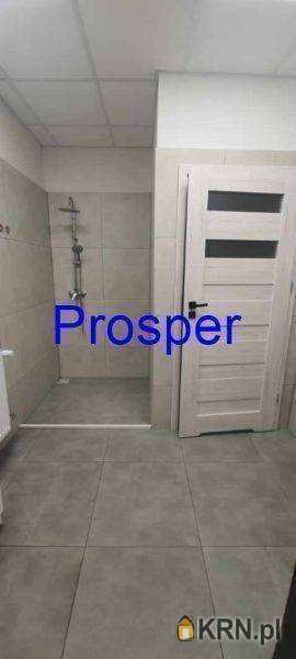 Czechowice-Dziedzice, ul. , , Lokal użytkowy  do wynajęcia