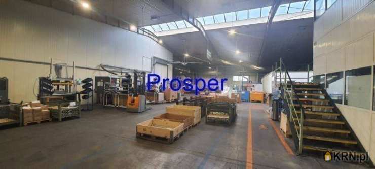 , Czechowice-Dziedzice, ul. , Lokal użytkowy  do wynajęcia